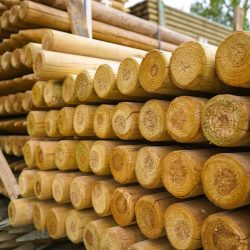 d855890e-260c-4246-963e-21712004e2cc d855890e-260c-4246-963e-21712004e2cc